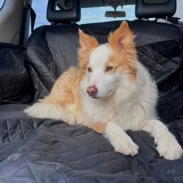 Waterproof Boot Cover For Dogs