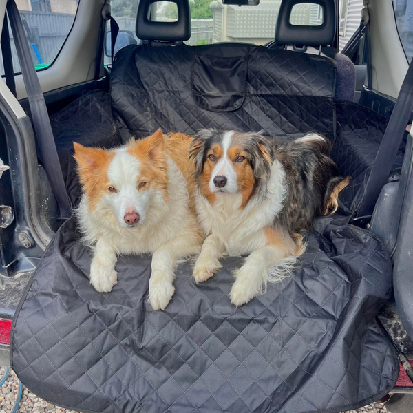 Waterproof Boot Cover For Dogs