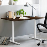 Sit & Stand Desk