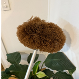 Ceiling Fan Duster