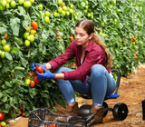 360° Garden Stool