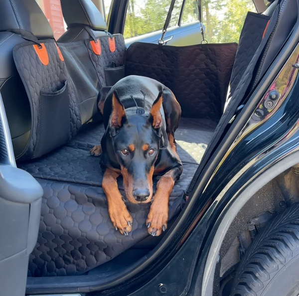 Hard Bottom Backseat Dog Cover